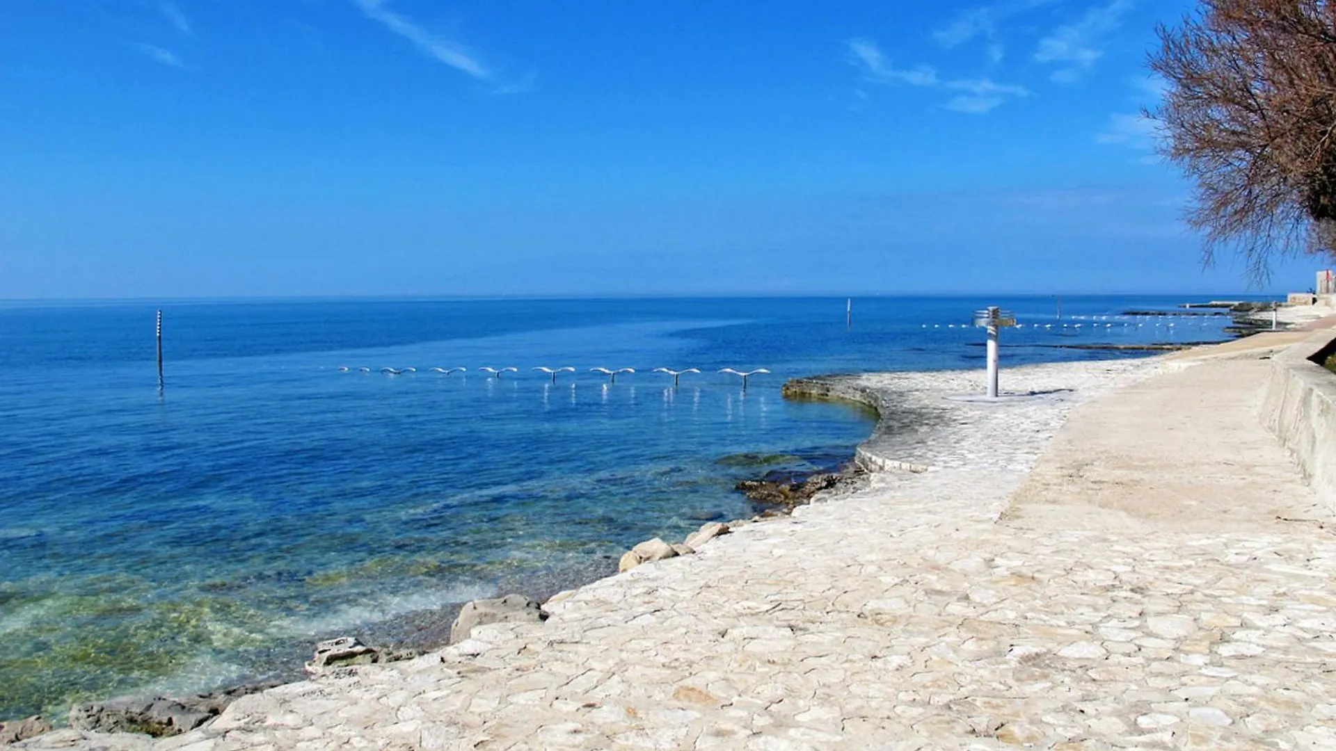 Apartment Darja By Interhome Novigrad  Croatia